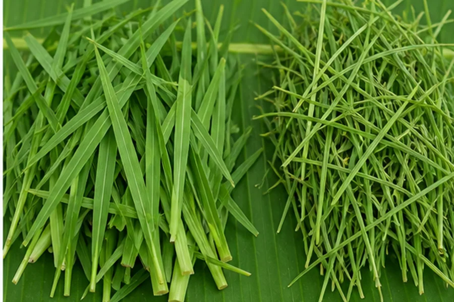 Clean local grass forage reference